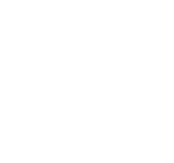 Fresh-homemade-food